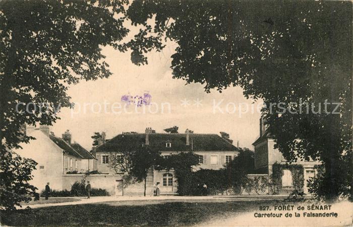 Foret de Senart Carrefour de la Falsanderie