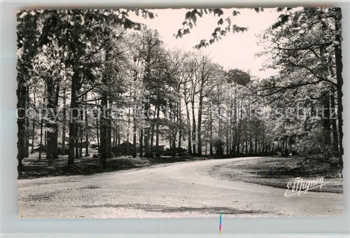 Fontainebleau Seine et Marne Foret Carrefour du Bas Br?au