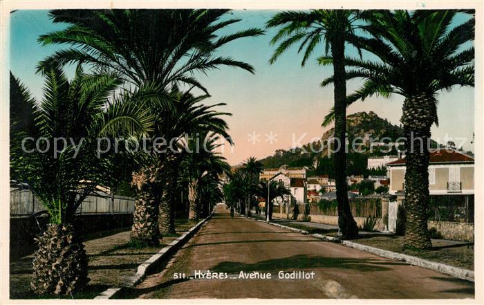 Hyeres les Palmiers Avenue Godillot