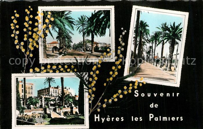 Hyeres les Palmiers Souvenir de la ville vues d_ensemble