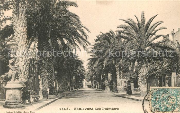 Hyeres les Palmiers Boulevard des Palmiers