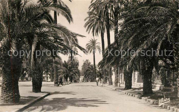 Hyeres les Palmiers Avenue de Belgique