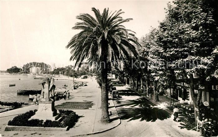 Bandol Quai du Port des palmiers Cote d Azur