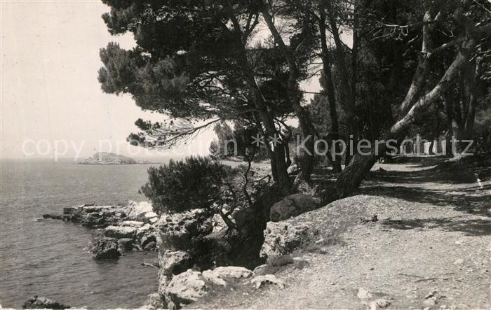 Bandol Sous bois et bord de mer du Capeland