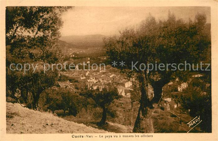 Cuers La pays vu a travers les oliviers