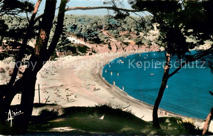 Fabregas La Plage Cote d Azur