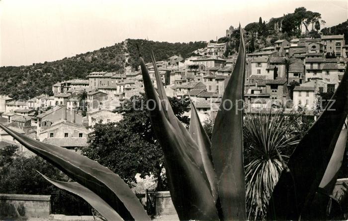 Bormes-les-Mimosas Vue Generale