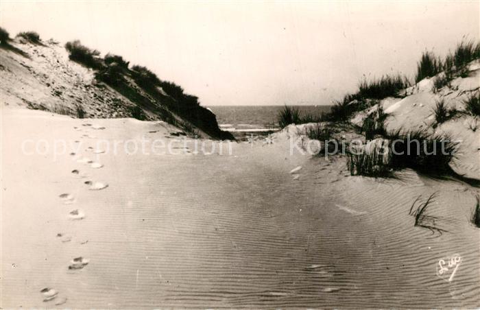 Quend Plage les Pins Les dunes et la mer
