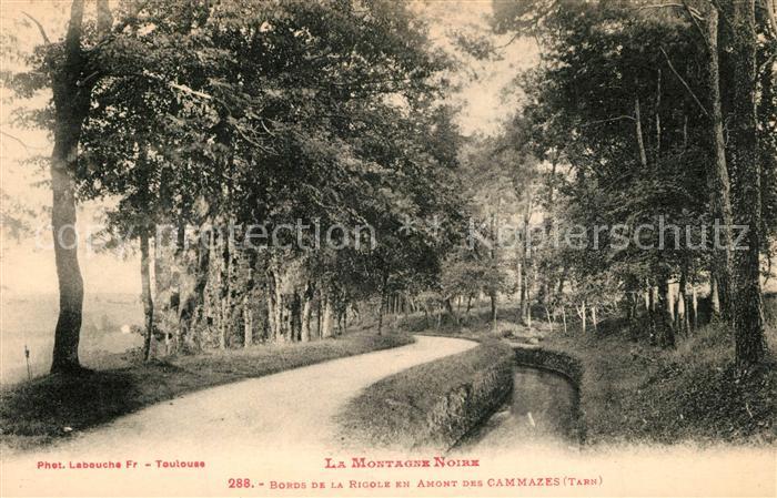 Les Cammazes Bords de la Rigole