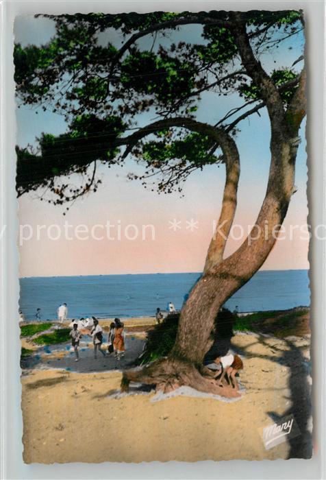 La Capte La Plage Cote d Azur