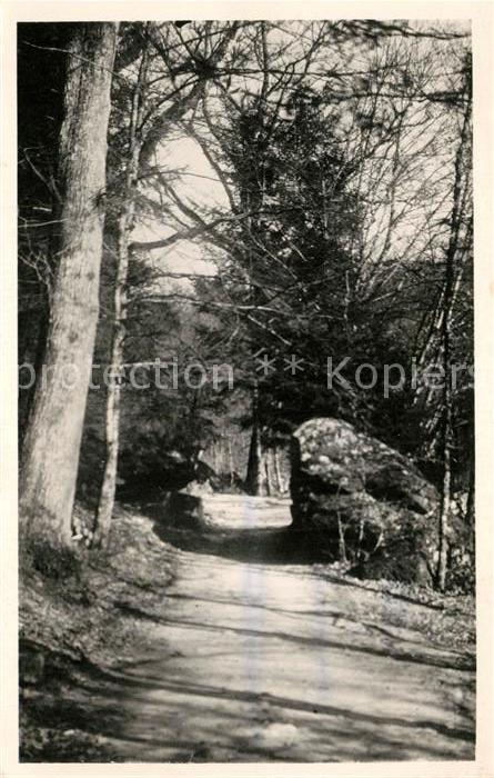La Pierre-qui-Vire Abbaye Sous bois le long du Trinquelin