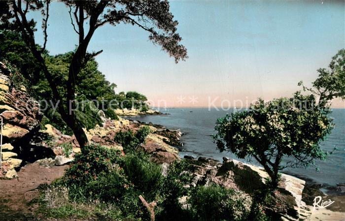 Ile de Noirmoutier La Cote au Bois de la Chaise