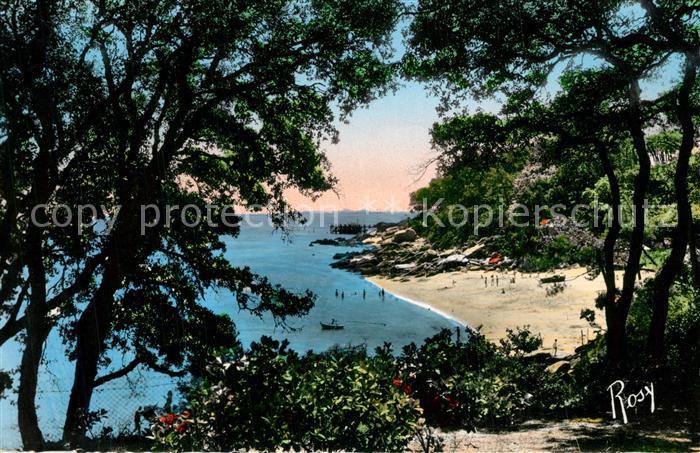 Ile de Noirmoutier Vue prise du Tambourin sur le bois de l
