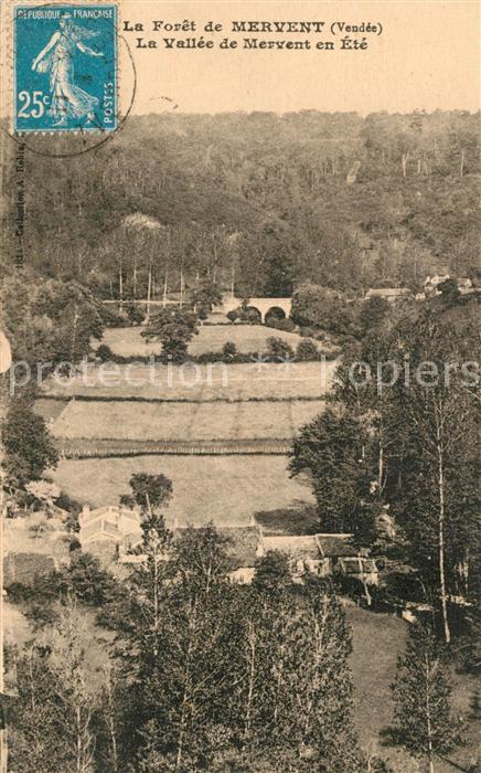 Mervent La Vallee de Mervent en Ete