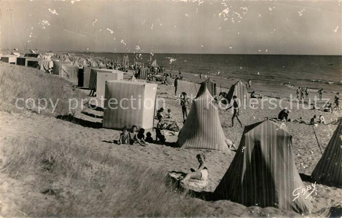 Demoiselles La Plage