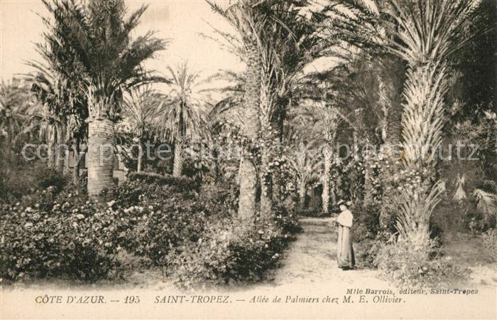 Saint Tropez Var Allee de Palmiers chez M E Ollivier