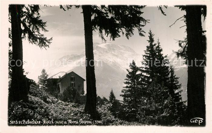 Savoie Region Belvedere Hotel et Mont Pourri Alpes Francaises