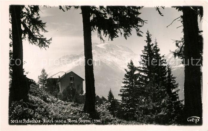 Savoie Region Belvedere Hotel et Mont Pourri Alpes Francaises