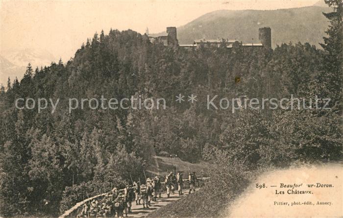 Beaufort sur Doron Les Chateaux
