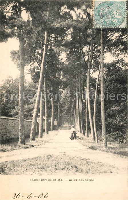 Beauchamp Allée des Sapins