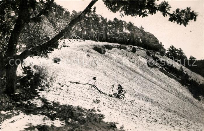 La Ferte-Alais La Sablière