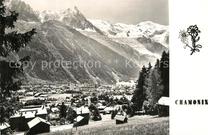 Chamonix Panorama la ville et le Mont Blanc vus du Belvedere