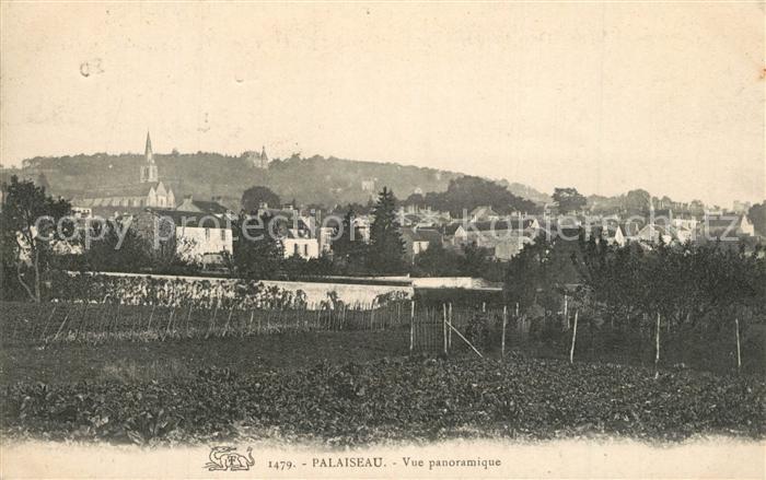 Palaiseau Vue panoramique