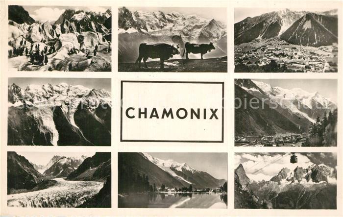 Chamonix Gebirgspanorama Mont Blanc Massif Bergsee Almvieh Kuehe