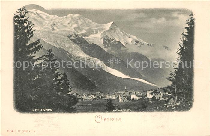 Chamonix Vue Generale et le Massif du Mont Blanc