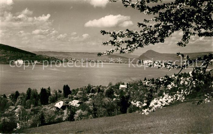 Veyrier-du-Lac Vue Generale Lac d Annecy au fond Annecy