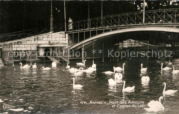 Annecy Haute-Savoie Pont des Amours et Cygnes du Lac