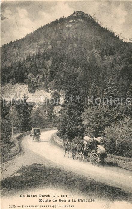 Gex Route a la Faucille Mont Turet