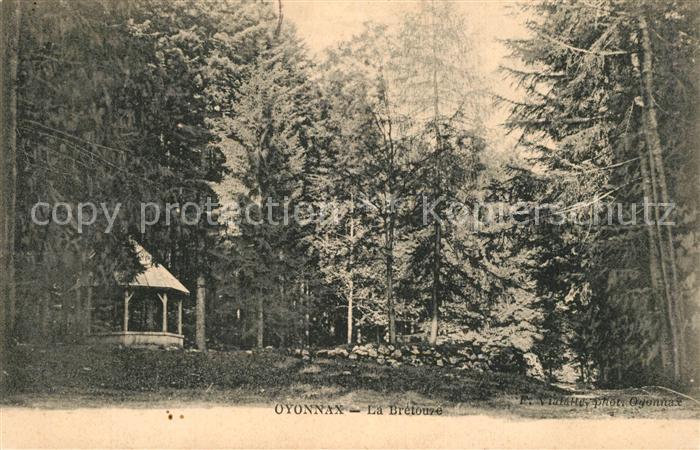 Oyonnax La Brétouze