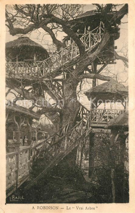 Robinson Plessis Le vrai Arbre