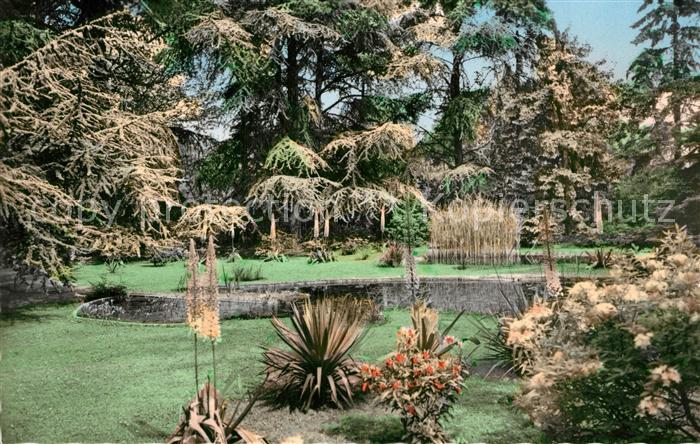 Boulogne-sur-Seine Bilancourt Jardins Albert Kahn La Forêt Bleue