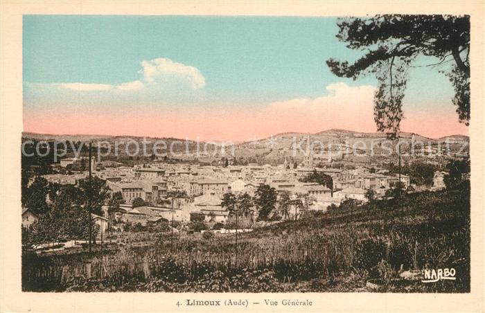 Limoux Vue generale