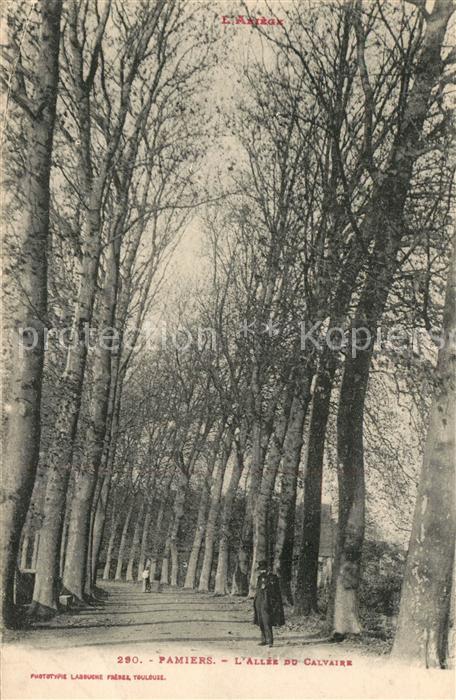 Pamiers Allee du Calvaire