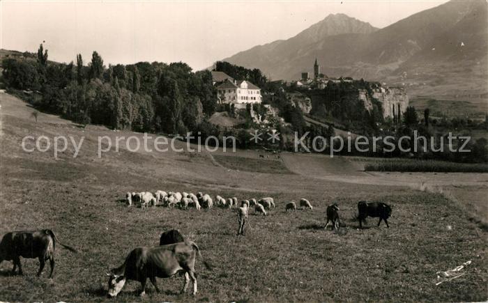 Embrun Chateau de La Robeyre et le Roc