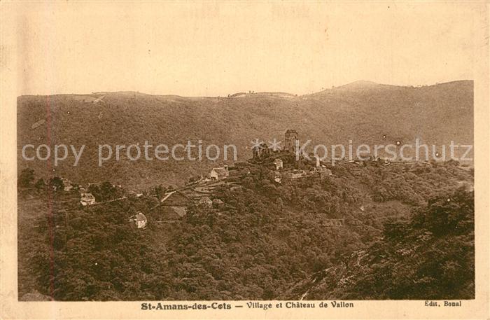 Saint-Amans-des-Cots Village et Chateau de Vallon