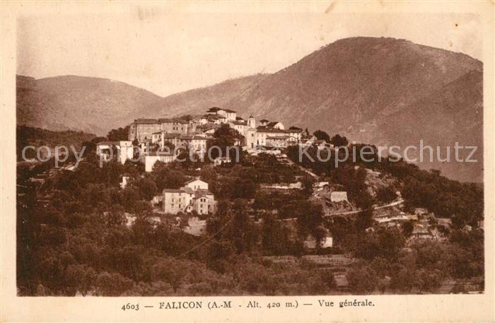 Falicon Vue Generale