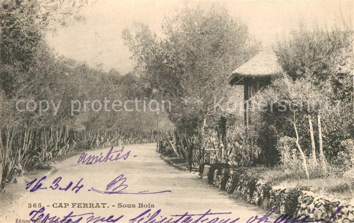 Cap-Ferrat Sous Bois