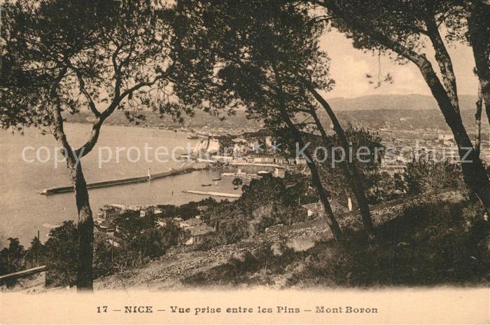 Nice Alpes Maritimes Vue prise entre les Pins Mont Boron Cote d Azur