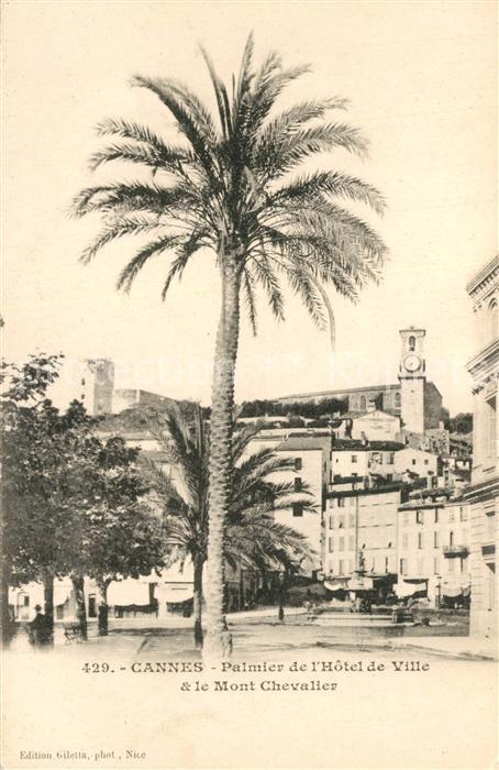 Cannes Alpes-Maritimes Palmier Hotel de Ville et Mont Chevalier Côte d Azur