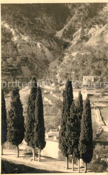 Grasse Alpes Maritimes Panorama