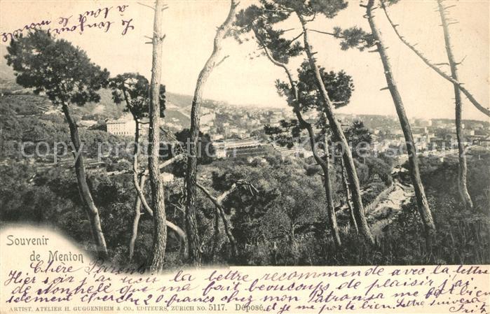 Menton Alpes Maritimes Panorama