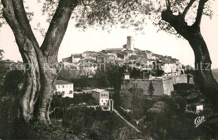 Saint-Paul-de-Vence Vue a travers les oliviers
