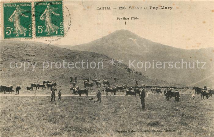 Cantal Auvergne Vacherie au Mary