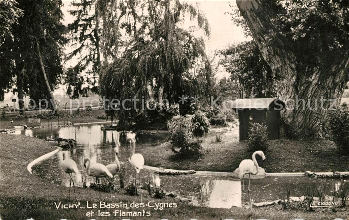 Vichy Allier Le Bassin des cygnes et les flamands
