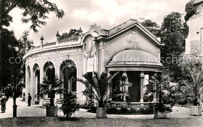 Vichy Allier La Source des Celestins