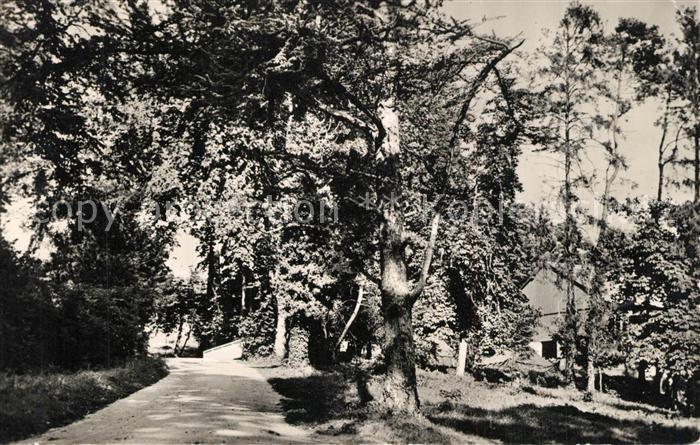 Houlgate Centre Regional d’Education Physique et